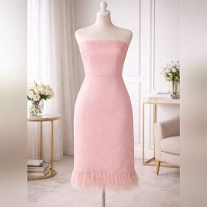 NWT Luxury Blush Pink Strapless Feather Hem Midi Dress – Camilyn Beth Size 6